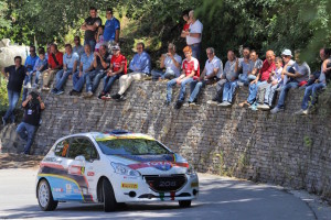 Michele Tassone, Daniele Michi (Peugeot 208 VTI R2 #18)