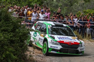 Carella Andrea-Guglielmetti Luca, Skoda Fabia R5 #3