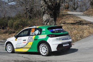 Gianandrea Pisani-Massimo Moriconi, Peugeot 208 Rally #38