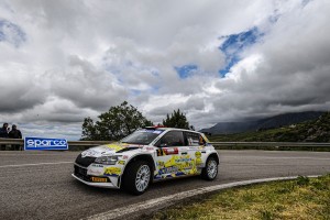 De Tommaso Damiano-Ascalone Giorgia, Skoda Fabia 2 Evo R5 #2